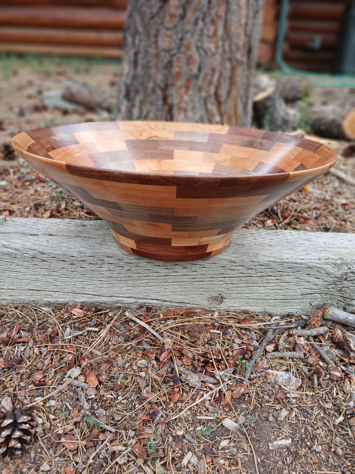 Segmented Black Walnut and Black Cherry Bowl